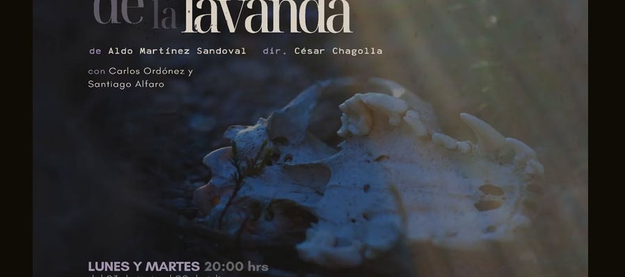 La caducidad de la lavanda