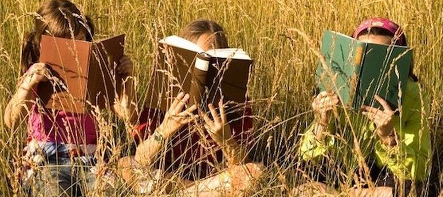 Lector estrella comelibros