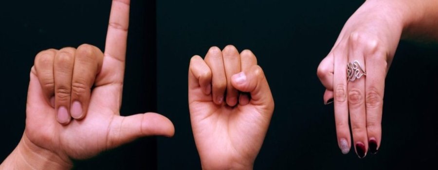 Lengua de Señas Mexicana