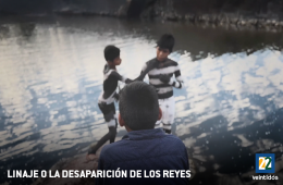 Imagen muestra de la actividad Linaje o la desaparición de los reyes