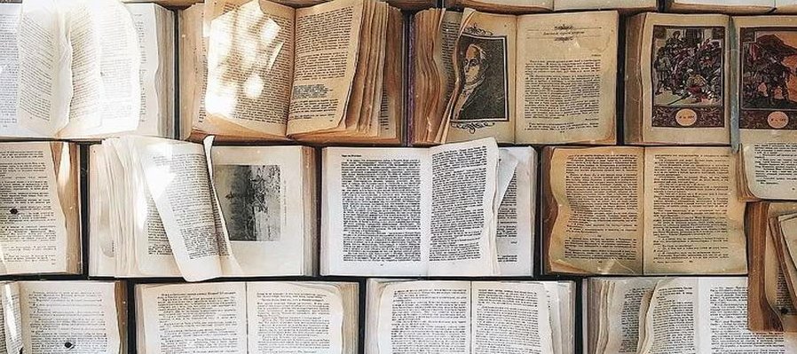 Literatura desbordada