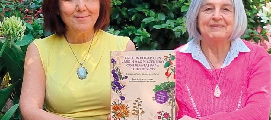 Crea un hogar o un jardín más placentero con plantas para todo México. cómo dónde y que sembrar