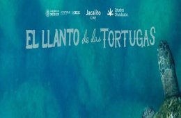 Imagen muestra de la actividad El Llanto de las Tortugas