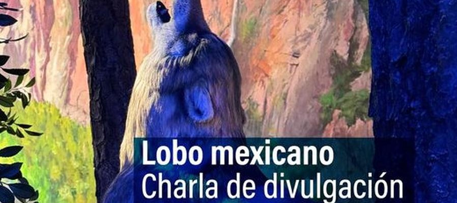 Lobo mexicano