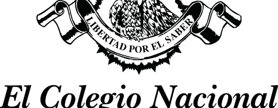 Lección inaugural de Silvia Giorguli