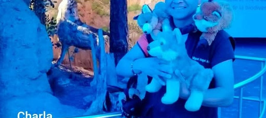 Historias de un lomito