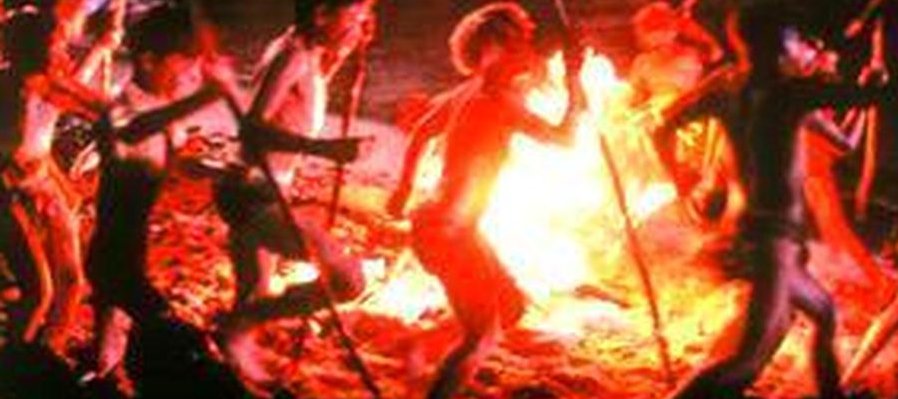 El señor de las moscas