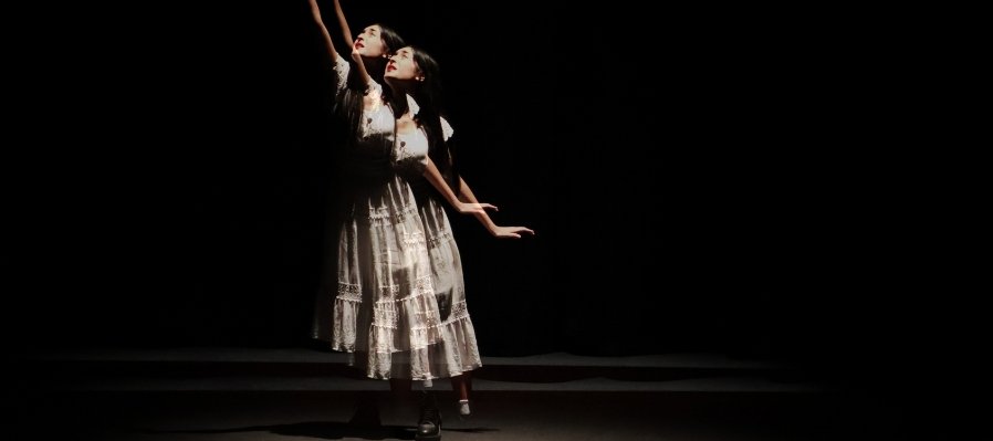 Los negros pájaros del adiós