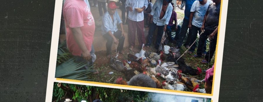 Los nueve grupos de Ch’a’cháak. La organización que mantiene el ritual