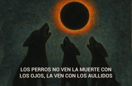 Imagen muestra de la actividad Los perros no ven la muerte con los ojos, la ven con los ...