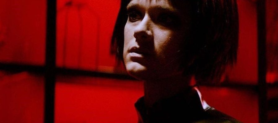 Los perros no llevan pantalones