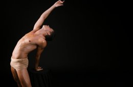 Imagen muestra de la actividad La Danza de la Lucha