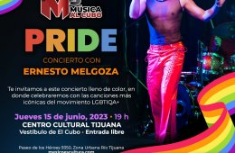 Imagen muestra de la actividad: Concierto con Ernesto Melgoza
