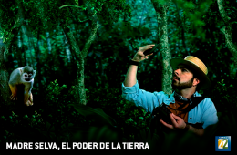 Madre Selva, el poder de la Tierra