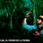 Imagen muestra de Madre Selva, el poder de la Tierra