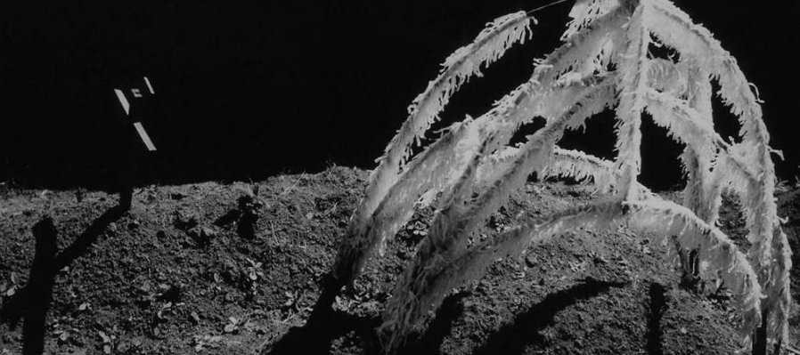 Manuel Álvarez Bravo: Registro de oscuridad