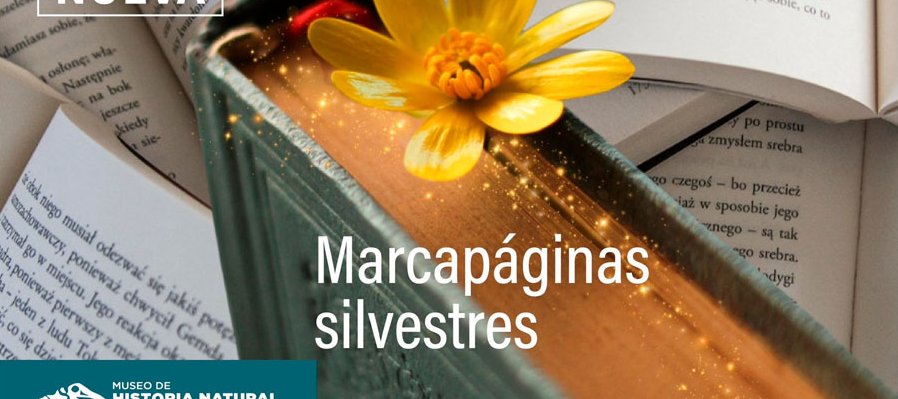 Marcapáginas silvestres