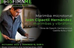 Imagen muestra de la actividad: Marimba microtonal