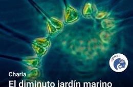 Imagen muestra de la actividad El Diminuto Jardín Marino