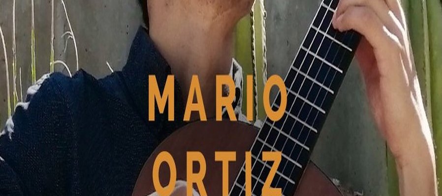 Festival de música callejón del ruido