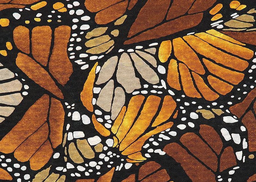 Imagen muestra de la actividad Mariposa Monarca por la ruta del MAYAB