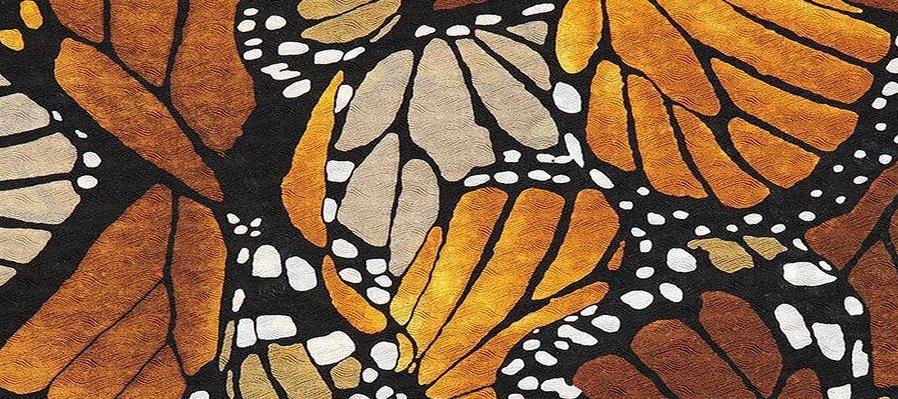 Mariposa Monarca por la ruta del MAYAB