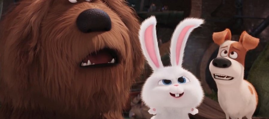 La vida secreta de tus mascotas
