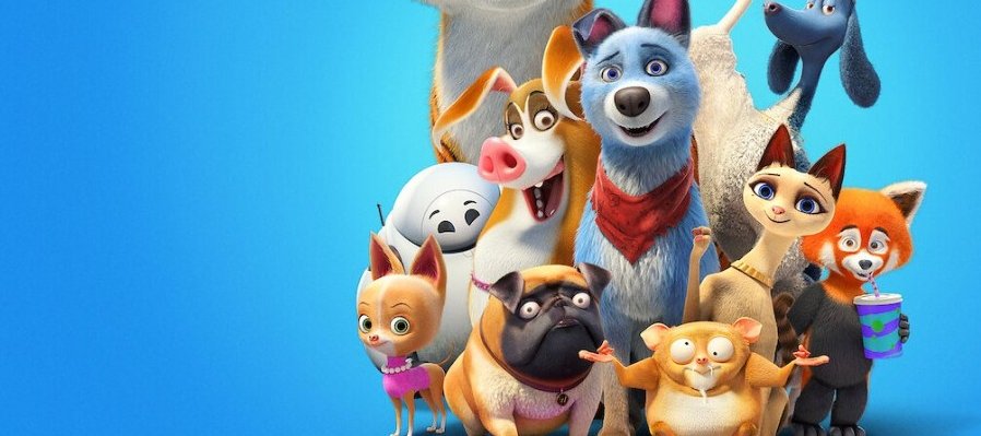 Mascotas unidas