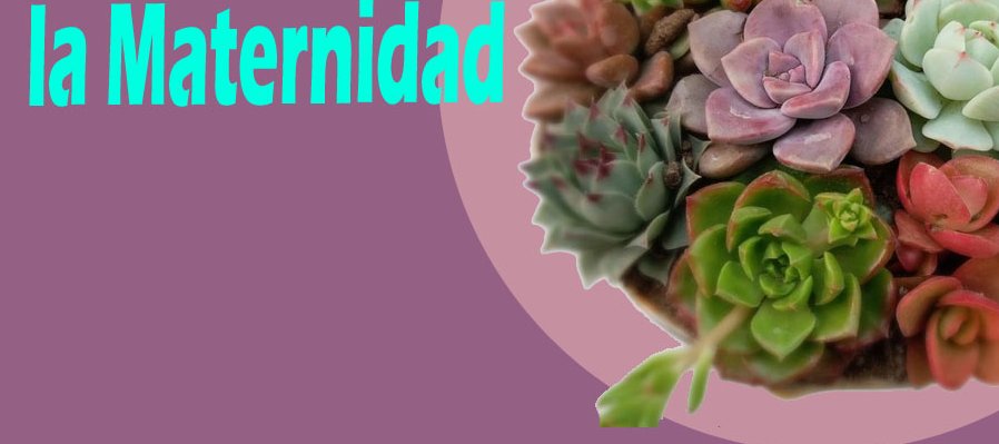Enraizando la maternidad