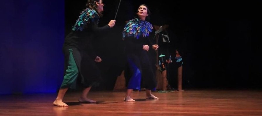 Maui, el sonido de las aves