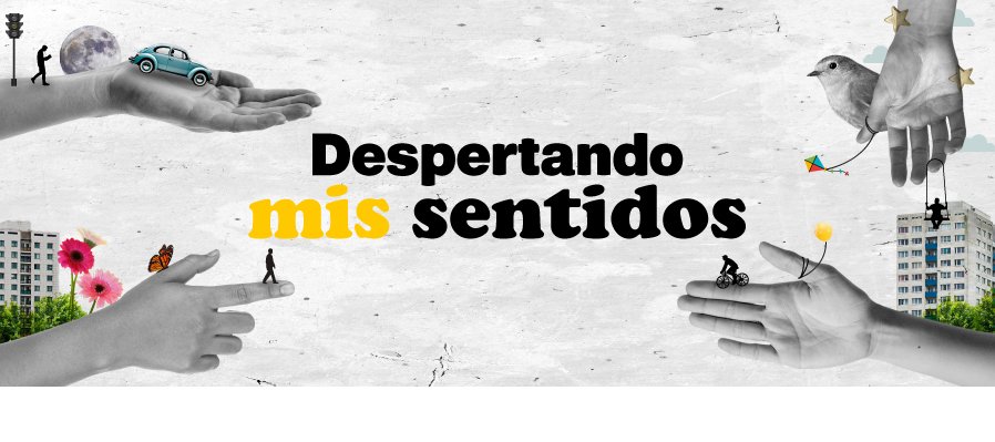 Taller: Despertando mis sentidos