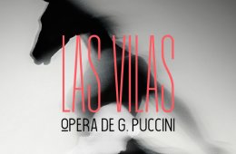 Imagen muestra de la actividad Presentación: "Las Vilas".
