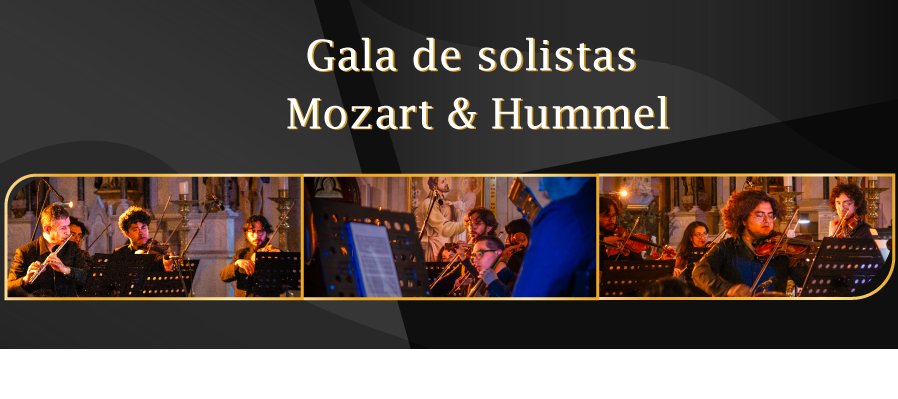 Gala de solistas - Mozart & Hummel