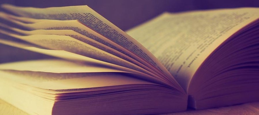 Libros de literatura infantily juventud en México: un acercamiento