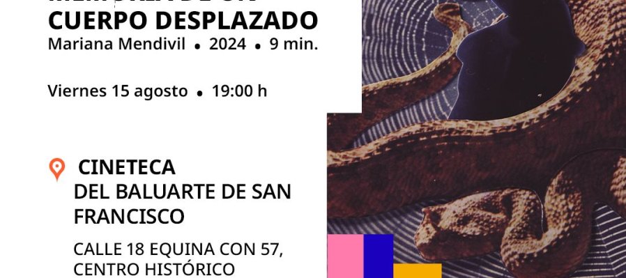 Memoria de un cuerpo desplazado