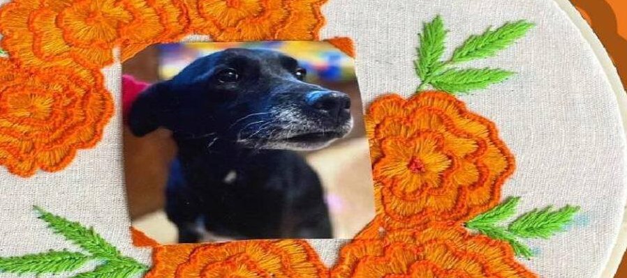 Memorias bordadas