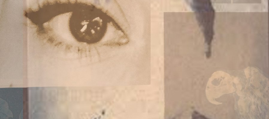 Mnemósine sublimada