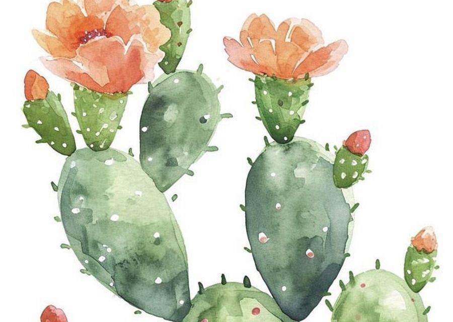 Imagen muestra de la actividad Mermelada de nopal