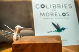 Imagen muestra de la actividad Colibríes de Morelos