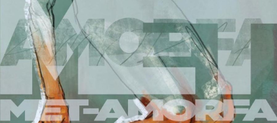 Met-Amorfa