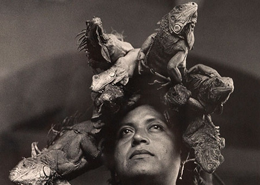 Imagen muestra de la actividad Metáforas Visuales: Mujeres en México y los Mundos Surrealistas.
