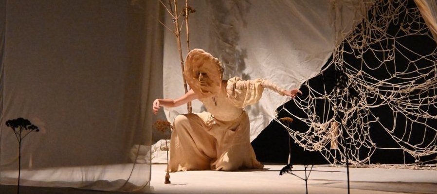 Mi abuela cultivó un jardín