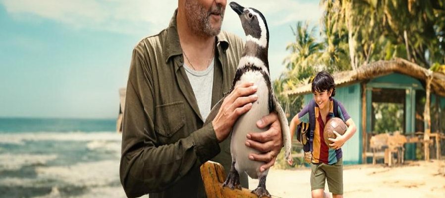 Mi Amigo El Pingüino