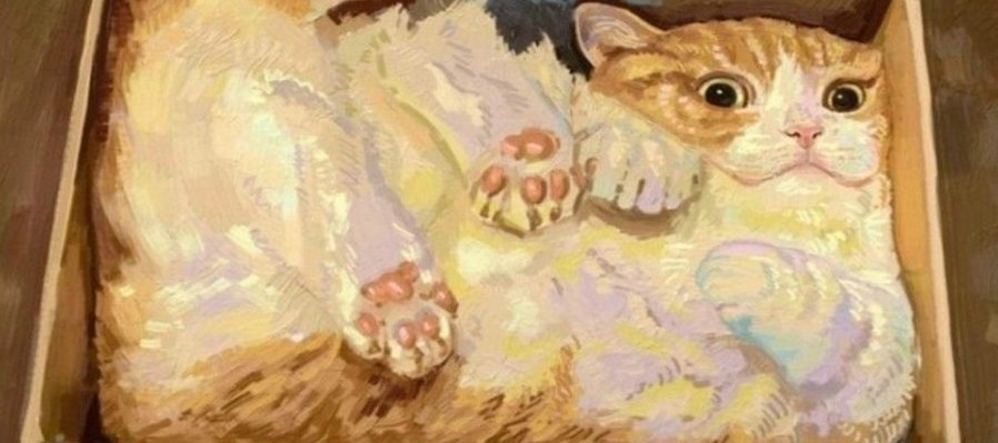 ¡Michis por doquier!