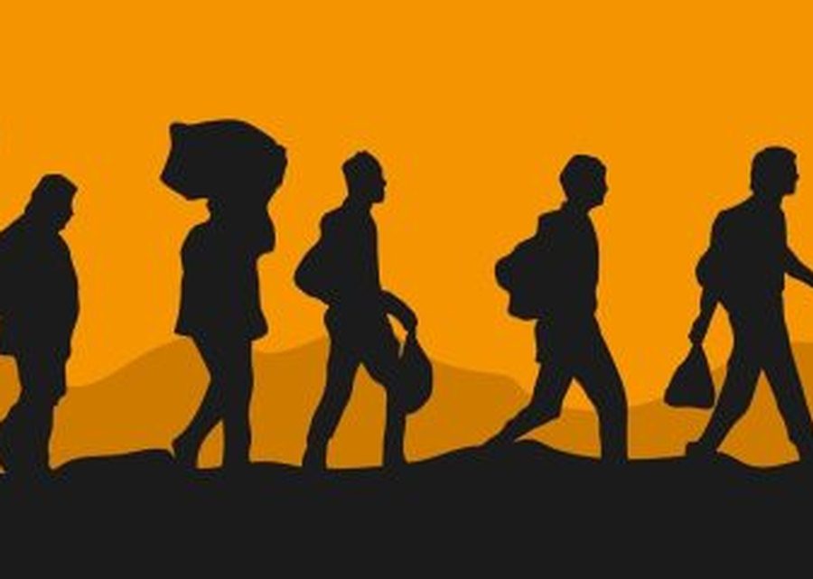 Imagen muestra de la actividad La vida del migrante en movimiento