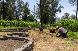Taller de fibra de maguey