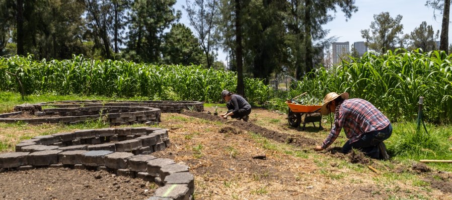 Taller de fibra de maguey
