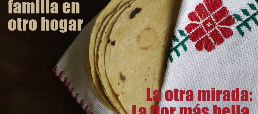 De visita por las milpas altas