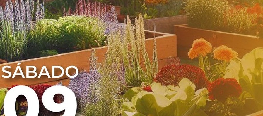 Pequeños horticultores