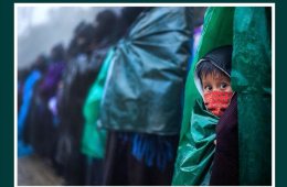 Imagen muestra de la actividad Una mirada a la historia reciente